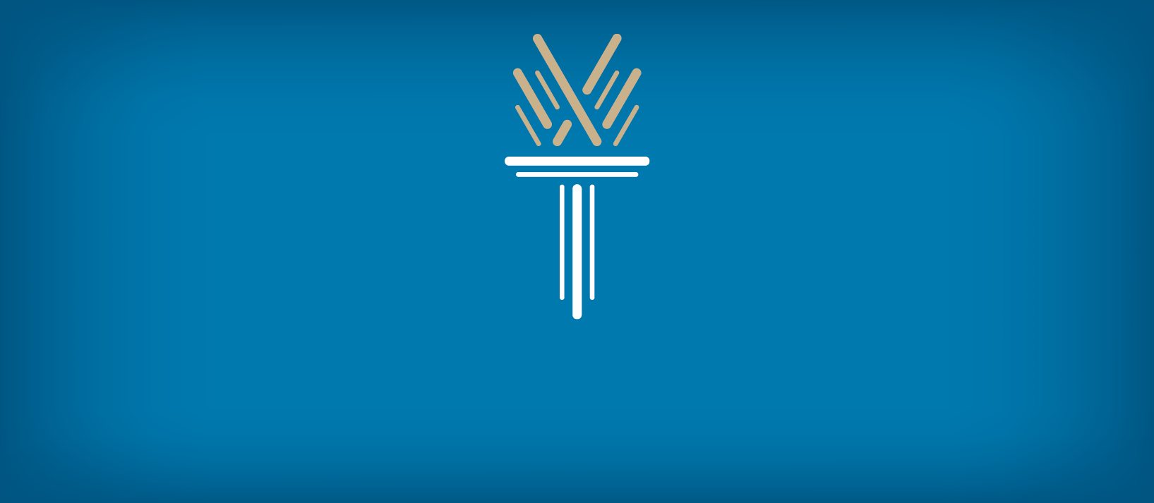 Wake Tech Torch