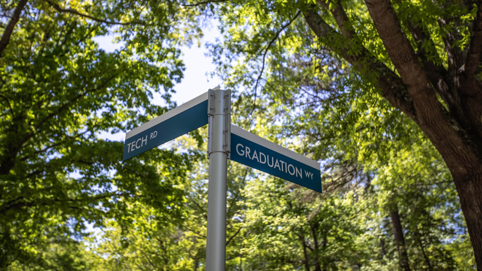 Southern Wake Campus Road Sign