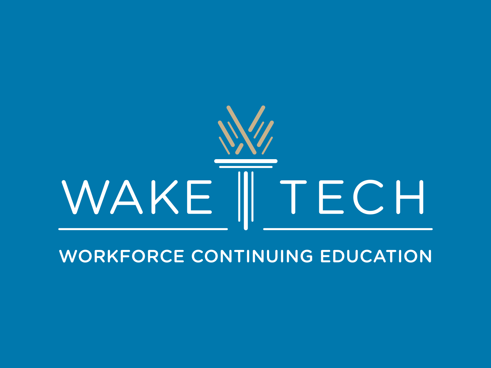 Training through Workforce Continuing Education (non-credit)