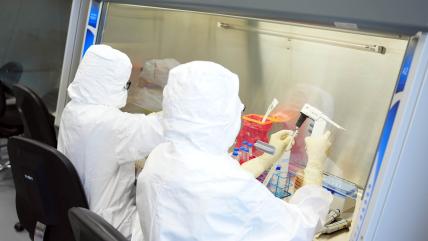 Biotechnology program
