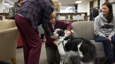 Wake Tech Offers Animal Therapy to Help Students Fight Stress
