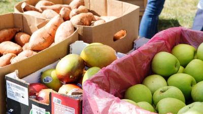 Wake Tech Food Pantries Get Makeover 