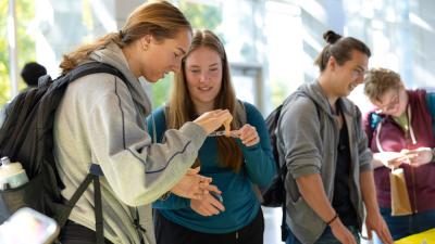 Celebrating STEM