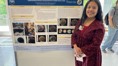 Undergraduate Research on Display