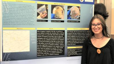 Undergraduate Research on Display