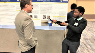 Undergraduate Research on Display