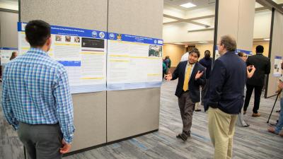 Undergraduate Research on Display