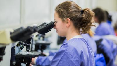Medical Laboratory Technology Image