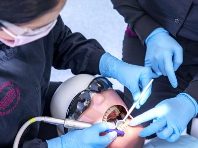 Dental Assisting | Wake Tech