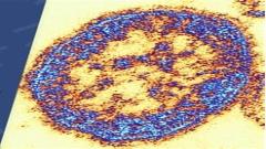 Microbiology Club January 2026 Meeting