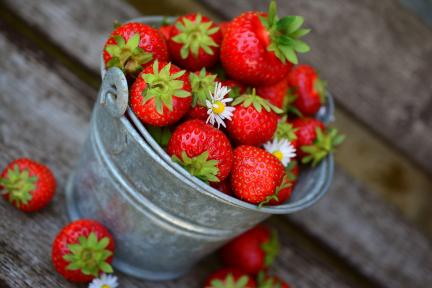2625bb35-4286-4b3d-b447-7204b3c5303b.jpg Spring Strawberry Fest