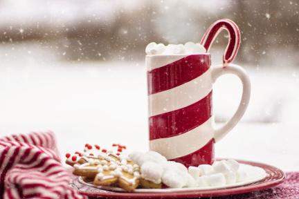 suchawrodehobigatuclestikojawaganidrafracufresloshudegab Cookies & Hot Cocoa