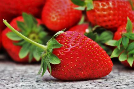 86d17e07-cb56-446b-bf8a-faccb88b3ea8.jpg Spring Strawberry Fest