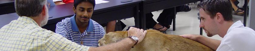 page_header_image