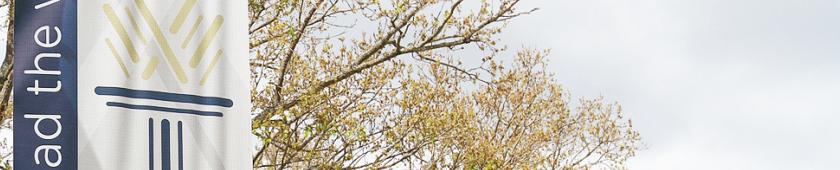 page_header_image