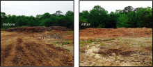 Photo of Mulch Pile