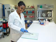 Wake Tech Pharmacy Technology Program